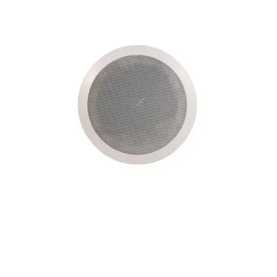 Flush-Mount Internal Ceiling Speaker