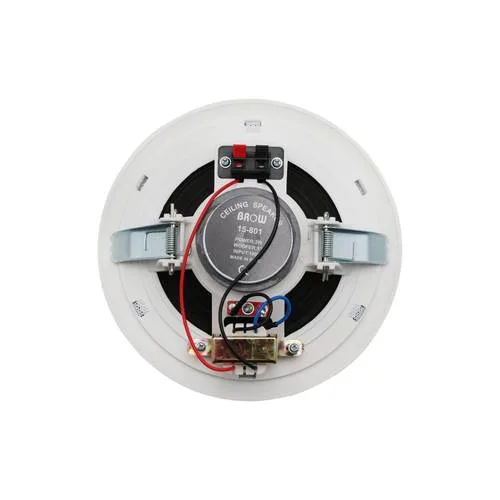 Heavy-Duty Professional Ceiling Speaker (Indian Made)