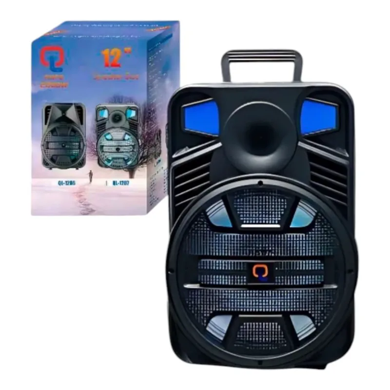 Single 12″ Portable Bluetooth Speaker