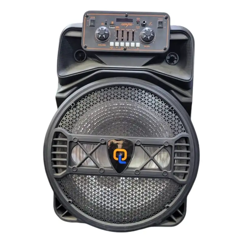 Single 15″ Portable Bluetooth Speaker