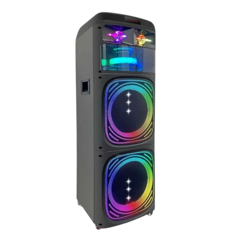 Dual 12″ Portable Bluetooth Speaker