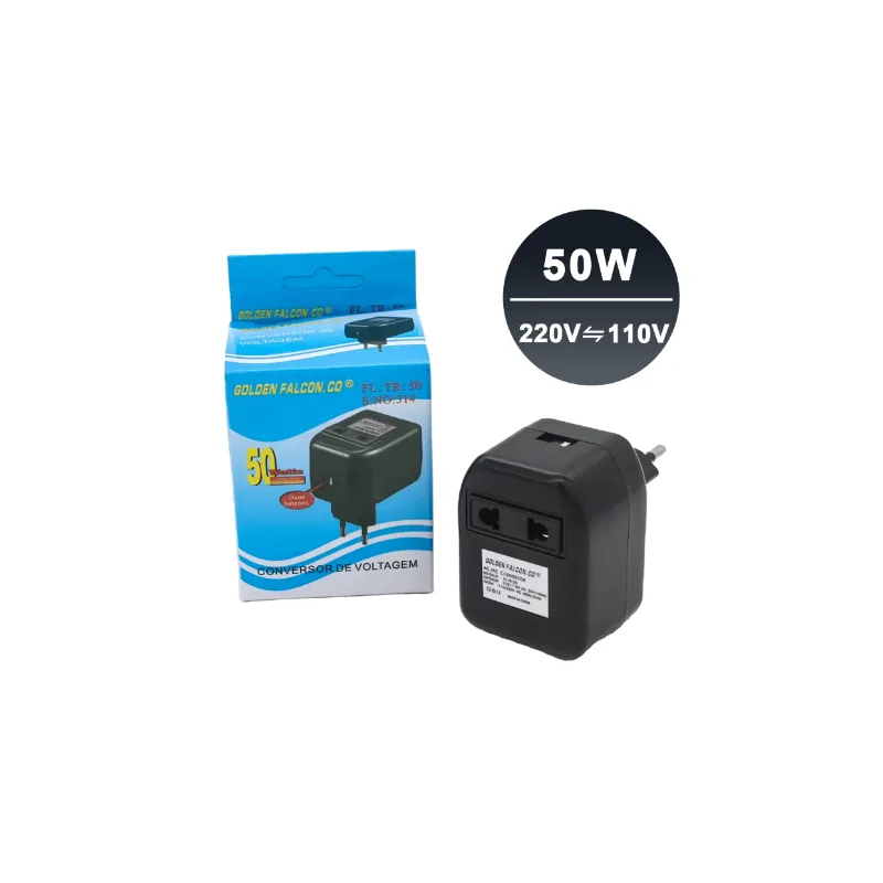 220V AC to 110V AC Adapter 50W