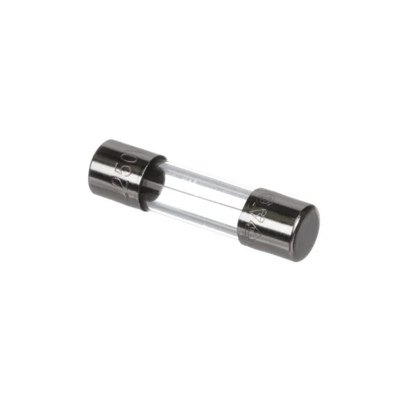 10A Fuse 5×20 mm