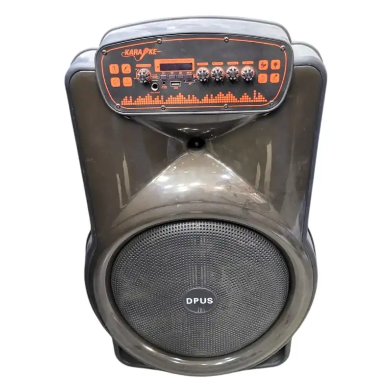 Single 15″ Portable Bluetooth Speaker