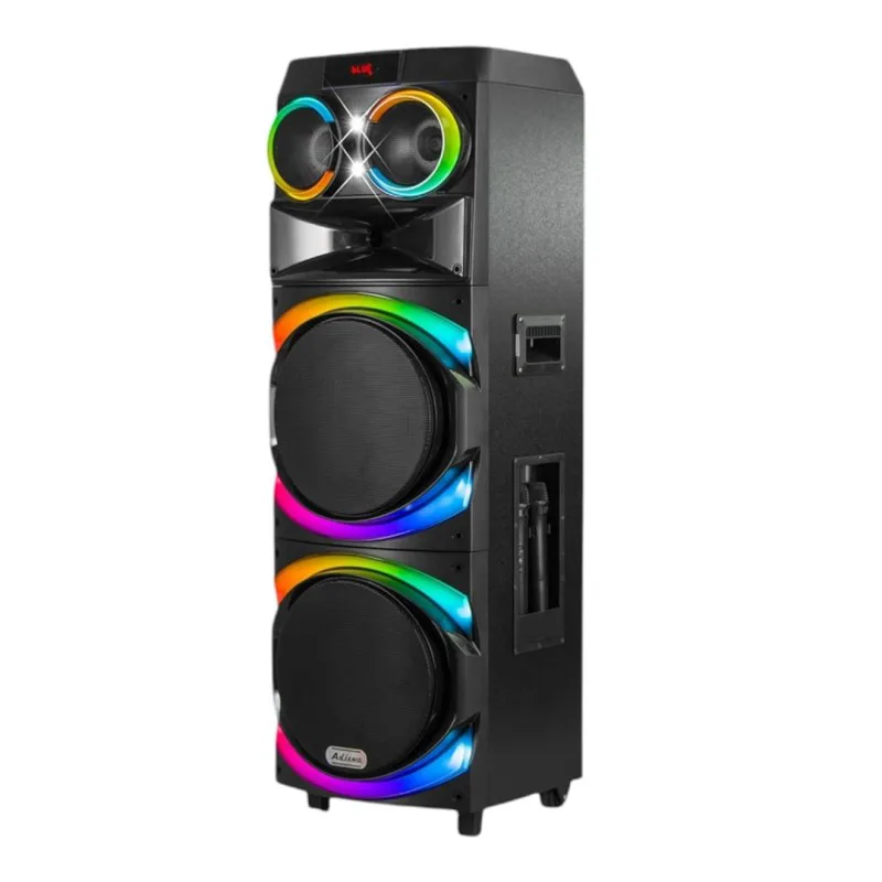 Dual 15″ Portable Bluetooth Speaker