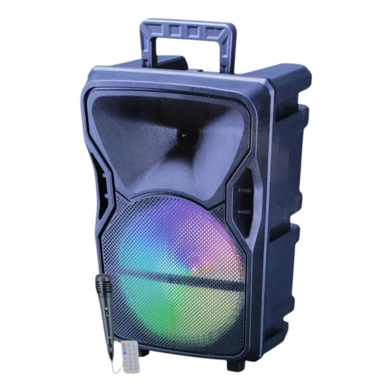 Single 12″ Portable Bluetooth Speaker